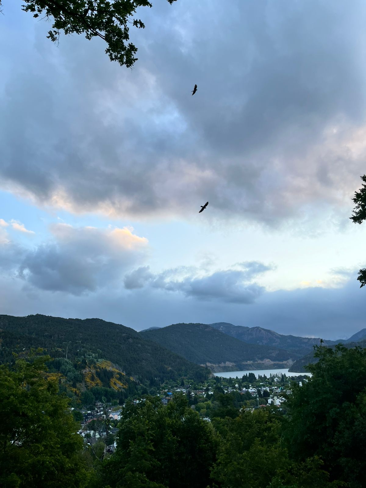 Patagonia